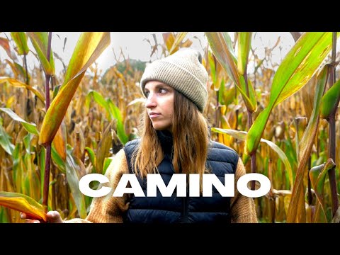 Wideo: Najlepszy czas na wizytę na Camino De Santiago