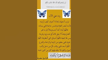 تلاوة خاشعة من سورة لقمان [8-9] | جزاء المؤمنين ونعيم الجنّة