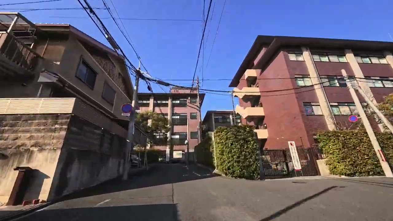 【今日の京都＃73】2026年2月21日 妙心寺～金閣寺 片っぽのお箸-空いた隙間が塞がらない-②