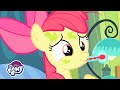 My Little Pony: Дружба — это чудо 🦄 День семьи | MLP FIM по-русски