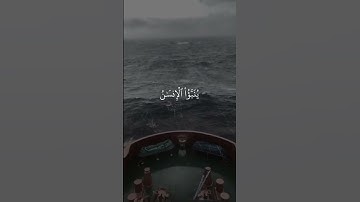 فاذا برق البصر - سورة القيامة - القارئ ادريس ابكر 🌿