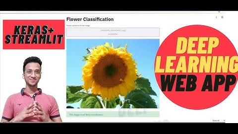 Image Classification With Streamlit| Deep Learning WebApp|