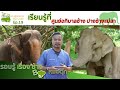 รอบรู้เรื่องช้าง By หมอตุ๊ก EP.19 เรียนรู้ที่ศูนย์อภิบาลช้าง ปางช้างแม่สา | TheChangChannel