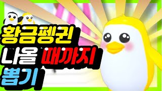 [로블록스]입양하세요 황금펭귄 얼마를 써야 나올까? 황금펭귄 나올때까지 현질하기!! 붕어빵 파티다!