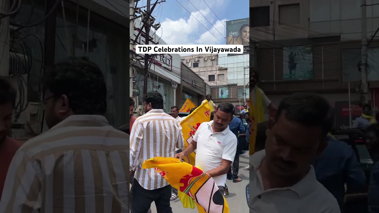 TDP Celebrations In Vijayawada | 