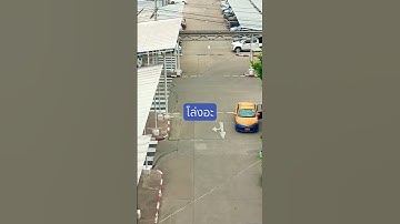 #automobile #cartoon #travel #drone #cat #food #beach #nothingimposibleinthisworld #animals #love