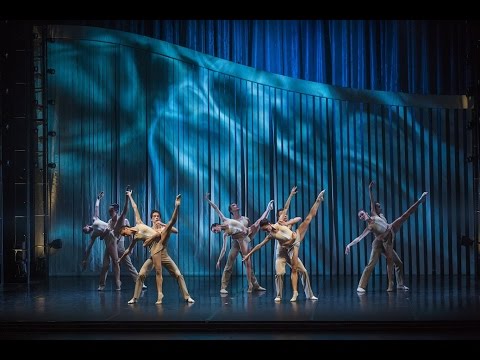 Дни Санкт-Петербурга в