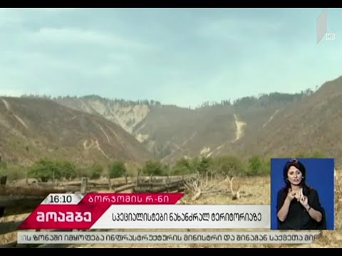 ნახანძრალი ტერიტორიის წინასწარი შეფასება ბორჯომის ხეობაში