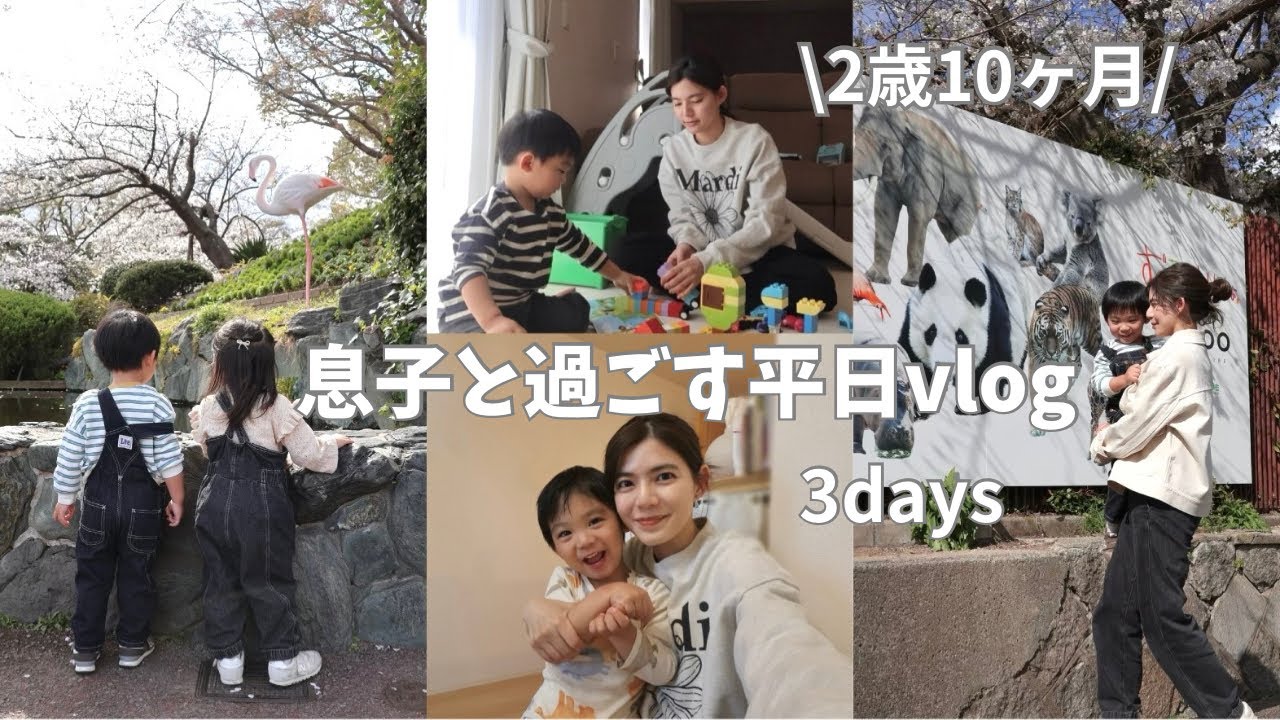 【ワンオペ】2歳10ヶ月の息子と過ごす平日3日間👦🏻🌸