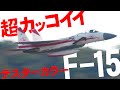 岐阜基地航空祭】これぞ岐阜！テスターカラーF-15のカッコよすぎた機動