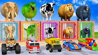 Long Slide Game With Elephant Gorilla Buffalo Hippopotamus Tiger - 3d Animal Game - Funny 3d Animals screenshot 1