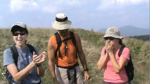 TATC Max Patch Music Lesson