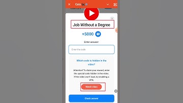 Job Without a Degree | Cats | Cats Code |