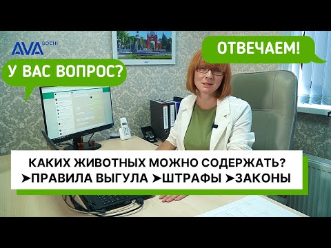 Каких животных можно содержать дома? ➤Правила выгула собак ➤штрафы ➤законы в 2020 ➤➤AVA Sochi