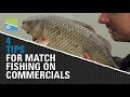 4 Essential Tips for Match Fishing on Commercials