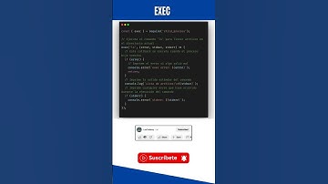 NodeJS: ¿Qué es exec? | Lexcademy