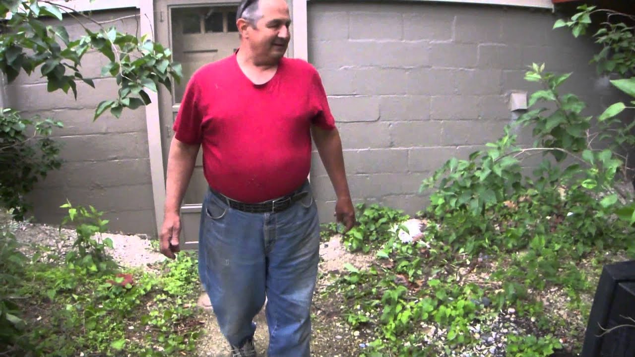 Here is Proof That The Whole World Used To Be Underwater