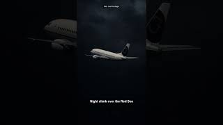 Flash Airlines 604: A Healthy 737 Rolled Into the Red Sea — 3 Nations Never Agreed Why #Shorts