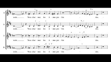 Calme des nuits (C. Saint-Saens) Score Animation