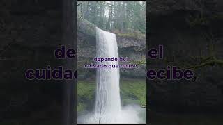 🤔El futuro depende de lo que hagas hoy | Frase de Motivación