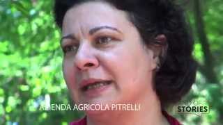 azienda agricola pitrelli