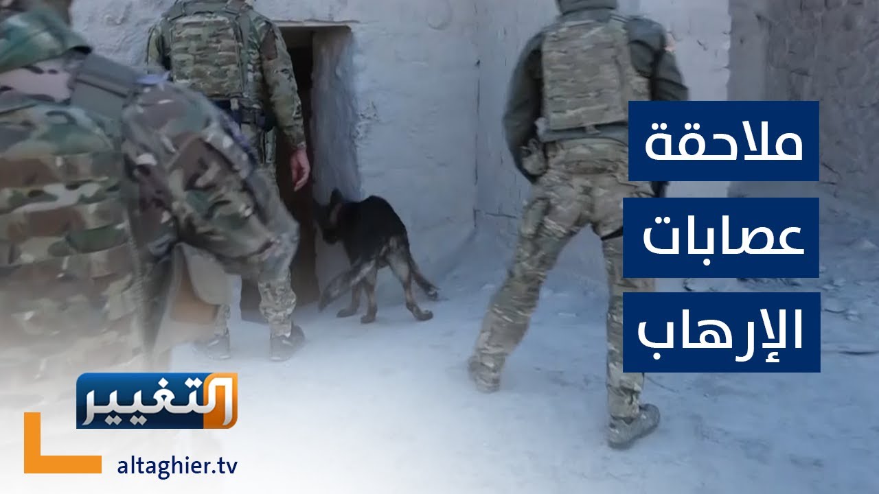 عمليات عسكرية لتطهير صحراء الأنبار من الإرهابيين | تقرير