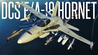 Learning to Fly an F/A-18 in a Combat Simulator - Digital Combat Simulator (DCS)