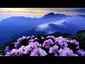 Unis Abdullaev - Summer mist (Piano, instrumental. relax music, sleep music)