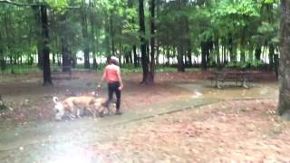 Molly Am Staff Mix Heel Clippack Walk