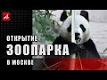 Открытие зоопарка в Москве: новые правила
