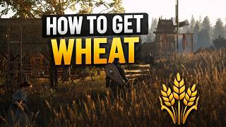 How to Get Wheat in Bellwright (Easy Farming Guide)