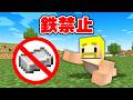 鉄禁止の世界でエンドラ討伐！【マイクラ】