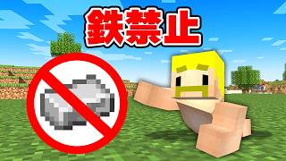 鉄禁止の世界でエンドラ討伐!【マイクラ】