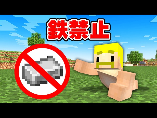 鉄禁止の世界でエンドラ討伐！【マイクラ】