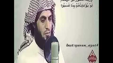 جديد لاول مرة  '' وَرَبُّكَ الْغَفُورُ ذُو الرَّحْمَةِ.. '' تلاوة هادئه تريح القلب للقارئ رعد الكردي
