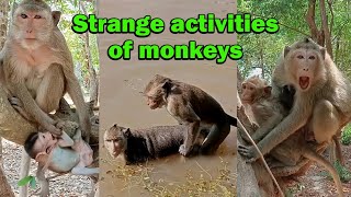 Strange videos