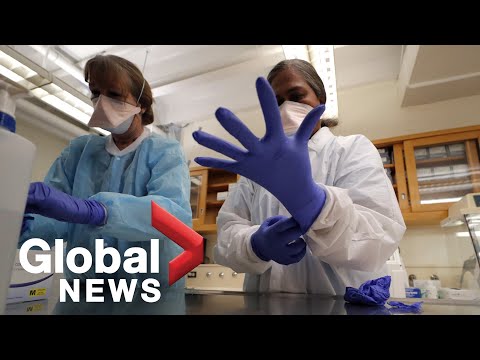 Video: Kaip kovoti su koronaviruso protrūkiu: atsakyti į dažniausiai užduodamus klausimus