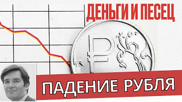 Что точно надо знать на фоне резкого падения рубля - Деньги и Песец #прокофьев