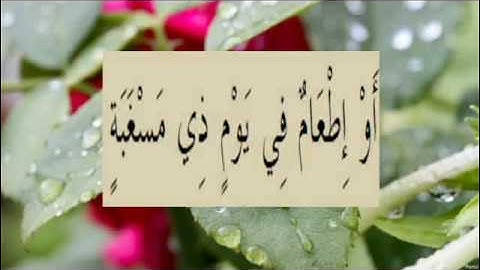 القران الكريم سورة البلد الاية 14