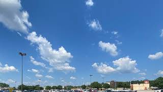 Madden With Thick Latina