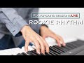 (LIVE!) - Rookie Rhythm with Playground Sessions