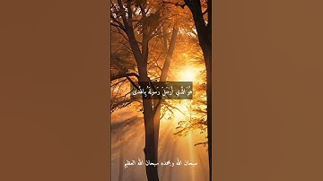 الشيخ حلمي الجمل.. نوادر روعه اجمل ما قراء ممتاز جدا نادر #تلاوات