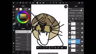 Let’s draw: FLOPPA!