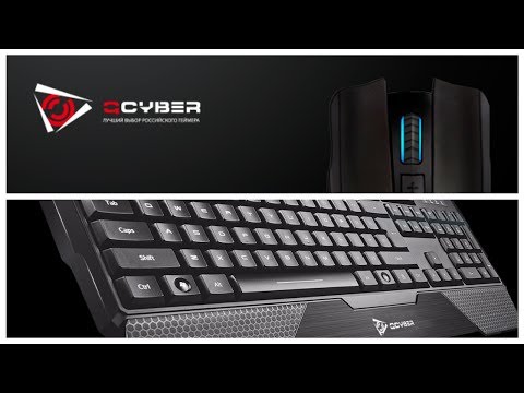 Обзор QCYBER TECHNIC и WOLOT