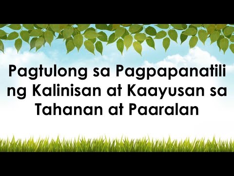 Video: Pagpapanatiling Isang Parkupino Sa Bahay