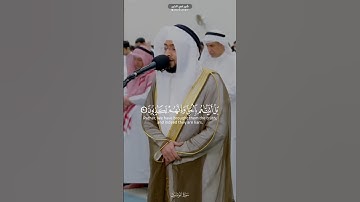تلاوة بديعة من سورة المؤمنون | الشيخ أحمد النفيس 💛