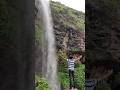 Tamhini Ghat, Pune | #tamhinighat #tamhini #rainyseason #waterfall #waterfalls #waterfallsinindia