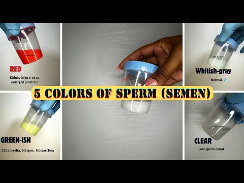 5 COLORS Of Sperm Semen