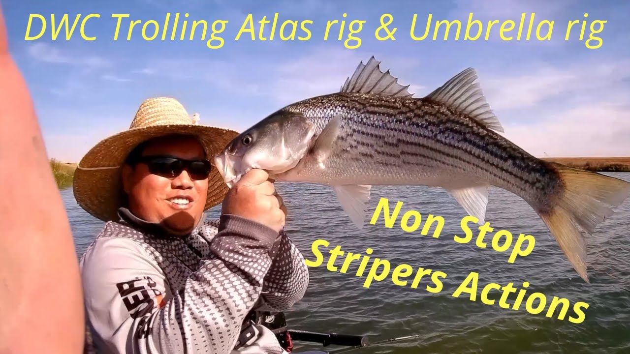 Fishing at DWC Cali Delta (Trolling for Striper Bass with Atlas