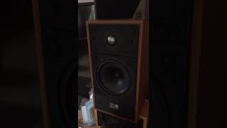 Celestion SL6s